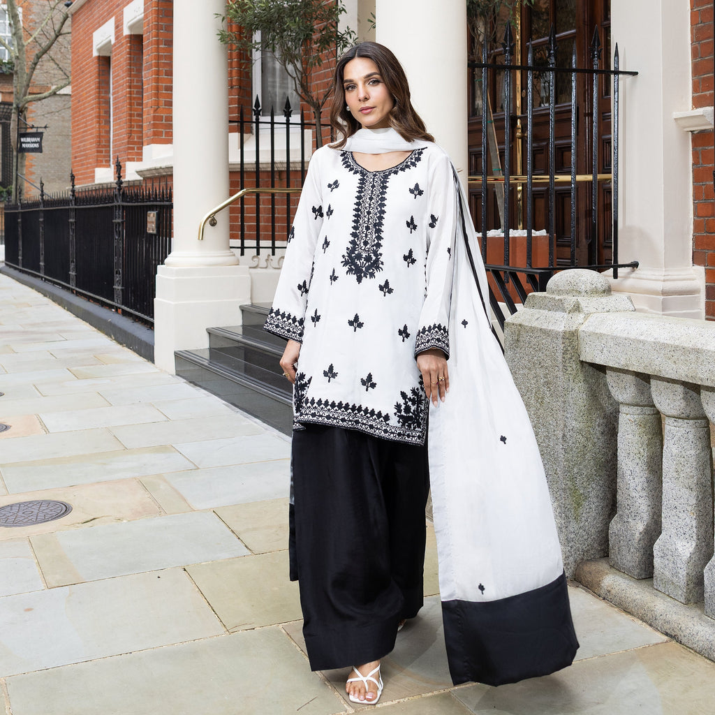 Monochrome Ethnic Farshi Shalwar Kameez